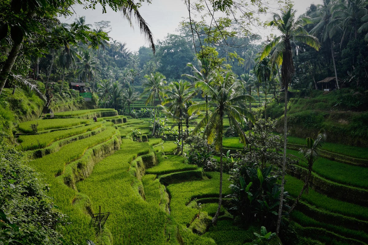 Bali Visa Requirements for Indian Travellers: What to Check Before You Go